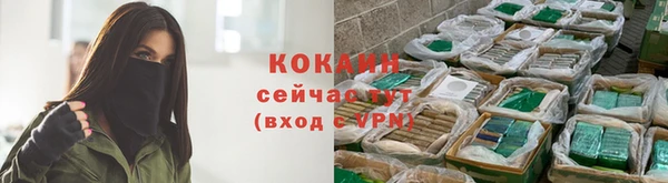 spice Аркадак