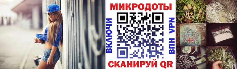 Купить Строитель Псилоцибиновые грибы Cubensis
